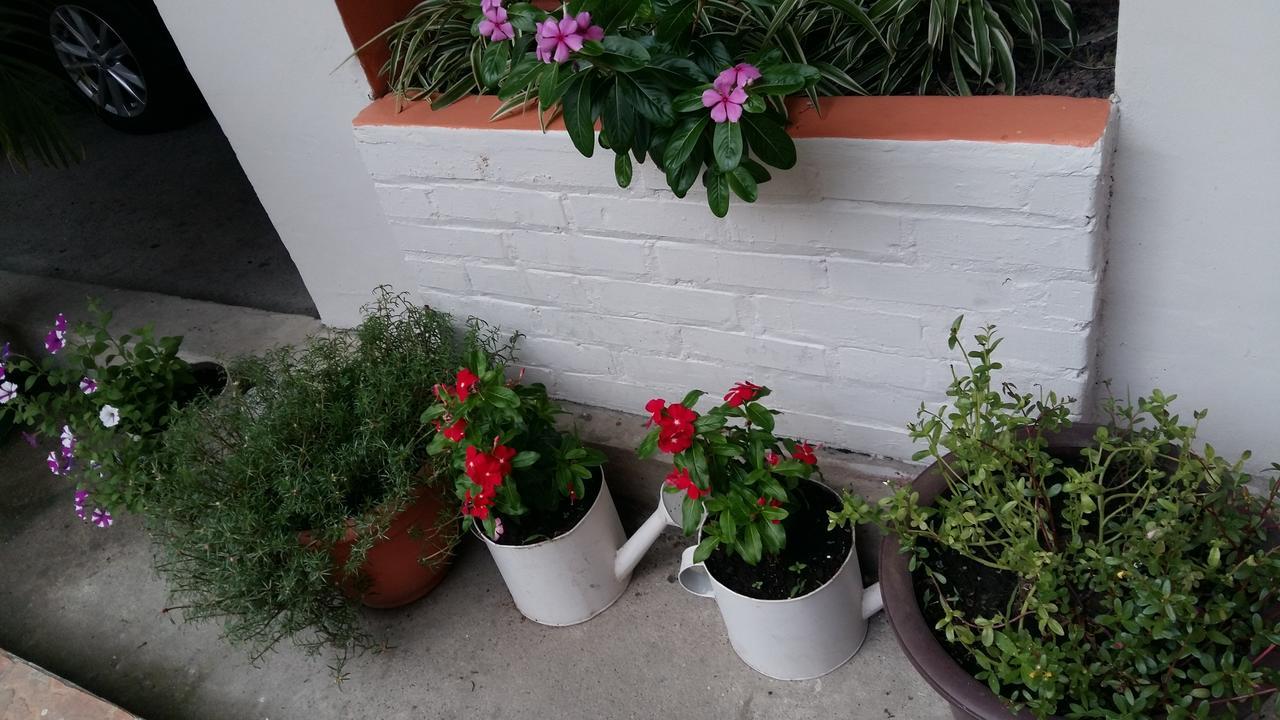Hotel Casa Marina La Ceiba Eksteriør billede
